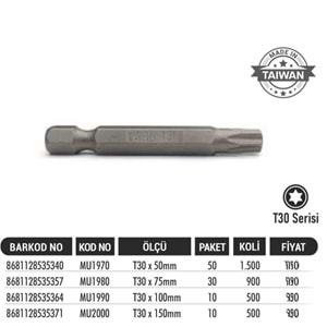 BAYTEC BİTS UÇ T30 *50MM MU1970